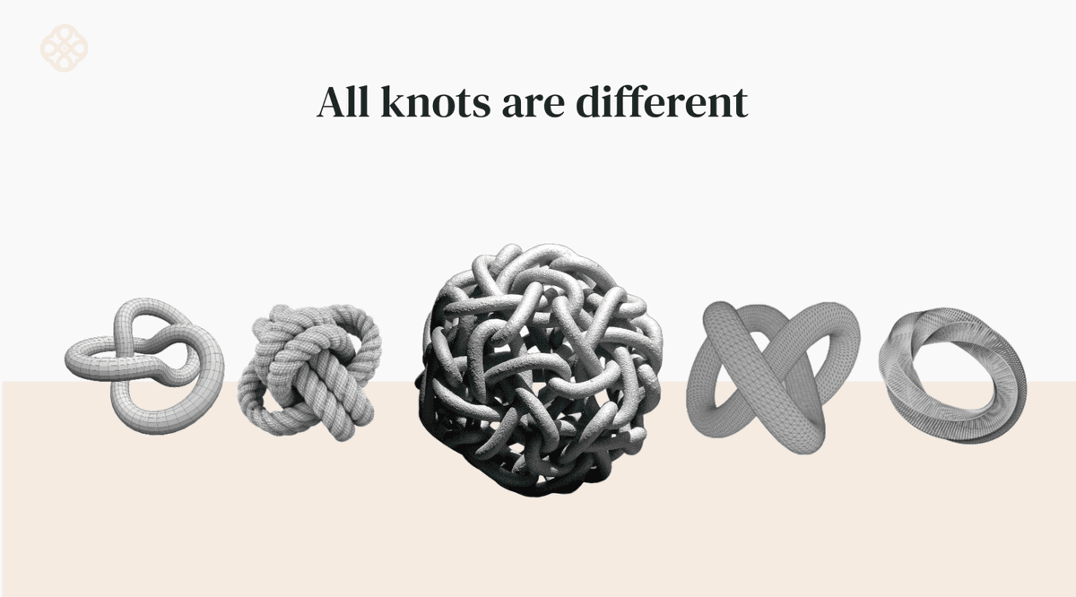 Diverse knots representing complex business challenges
